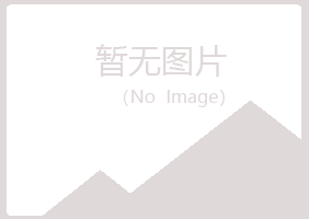 永和县夏菡会计有限公司